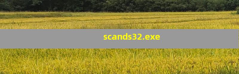 scands32.exe是什么进程