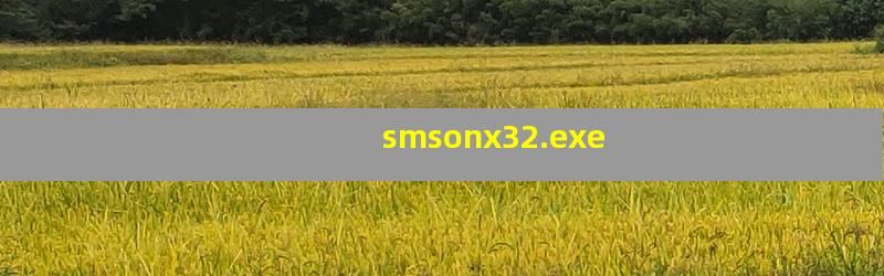 smsonx32.exe是什么进程