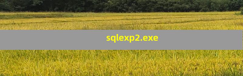 sqlexp2.exe是什么进程