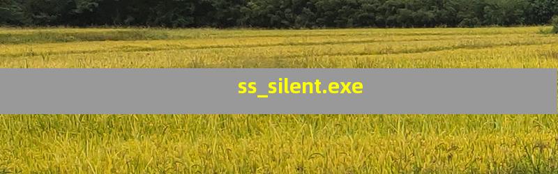 ss_silent.exe是什么进程