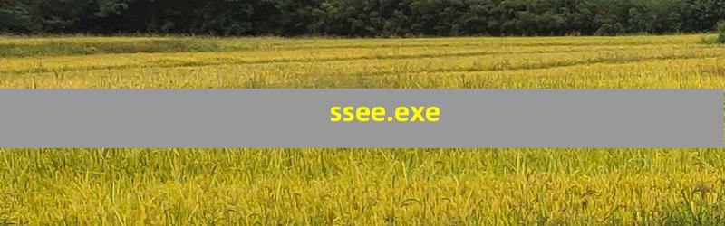 ssee.exe是什么进程